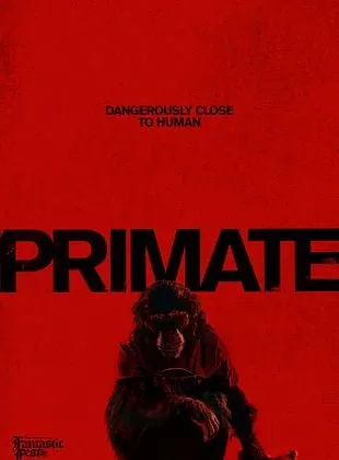 Primate