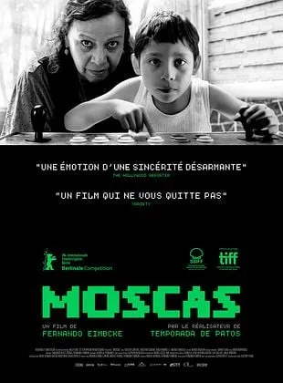 Moscas