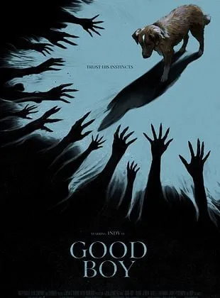 Good Boy