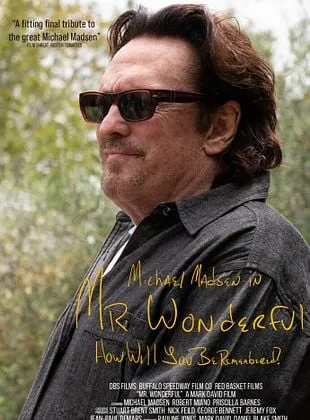 Mr. Wonderful