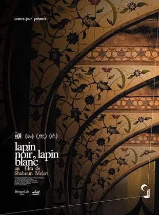 Lapin noir, lapin blanc