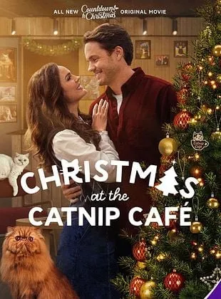 Un Noël chatoyant !