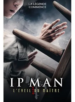 Ip Man : L'Éveil du Maître