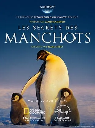 Les Secrets des manchots