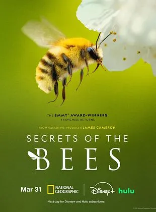 Les Secrets des abeilles 