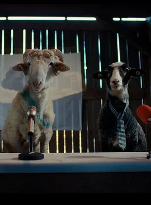 Sheep